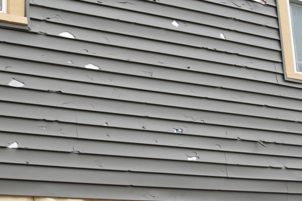 Best Storm Damage Siding Repair  in Covington, LA